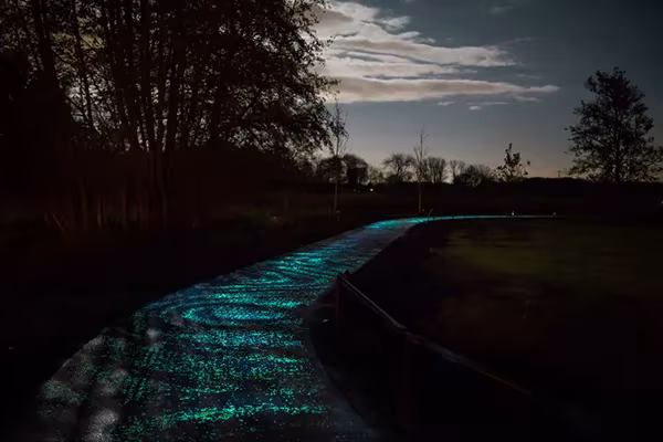 Carril bici Van Gogh-Roosegaarde brillando en azul verdoso por el campo bajo un cielo nocturno