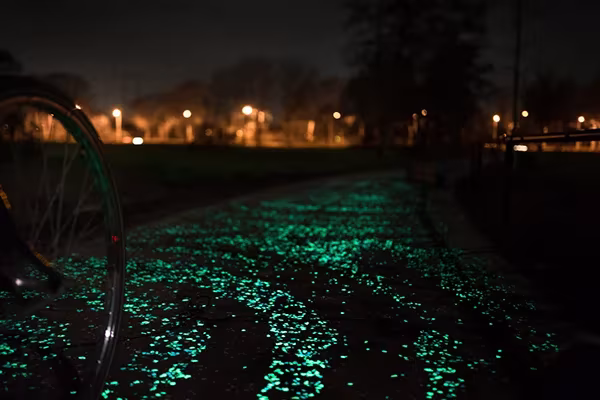 Rueda de bicicleta en primer plano sobre el carril Van Gogh-Roosegaarde con farolas naranjas al fondo