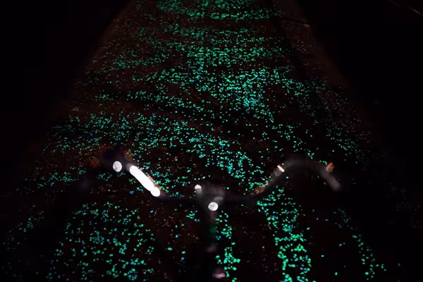Manillar de bicicleta sobre el pavimento de piedras brillantes del carril bici Van Gogh de noche