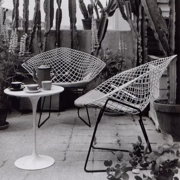 Dos sillas Diamond de Harry Bertoia en malla metálica blanca junto a una mesa Tulip en una terraza con cactus