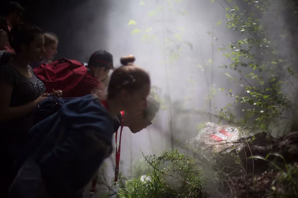 Visitantes entre vegetación y niebla en el pabellón de Austria «Respirar» de la Expo de Milán