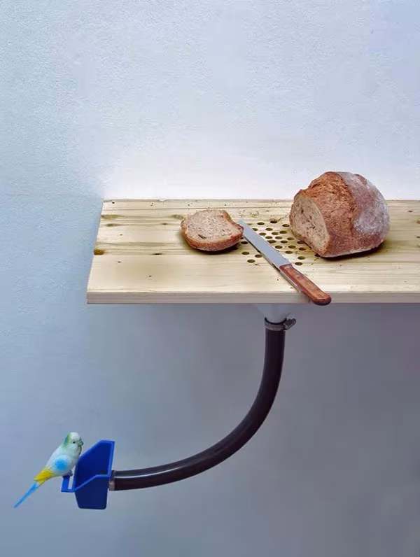 Tabla de cortar pan de madera con migas que caen por un tubo hacia un comedero de pájaros