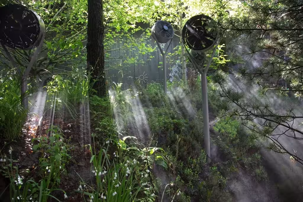 Rayos de luz entre la niebla y los árboles del bosque del pabellón de Austria en la Expo de Milán