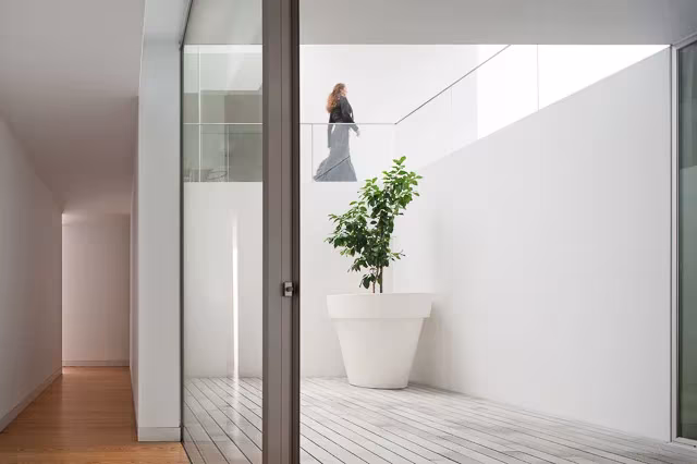 Patio interior blanco de la Casa Leiria de Aires Mateus con un limonero en maceta y suelo de madera