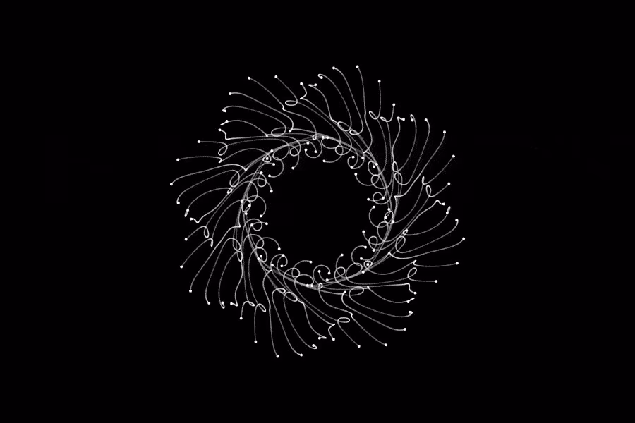 Fotograma de un GIF de Étienne Jacob con líneas blancas en espiral formando un anillo sobre fondo negro