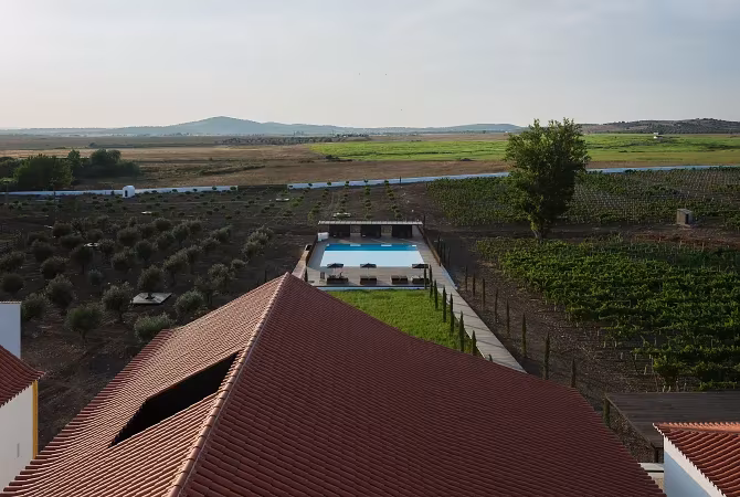 Tejado de teja roja en primer plano y piscina rodeada de olivares y viñedos en el paisaje del Alentejo