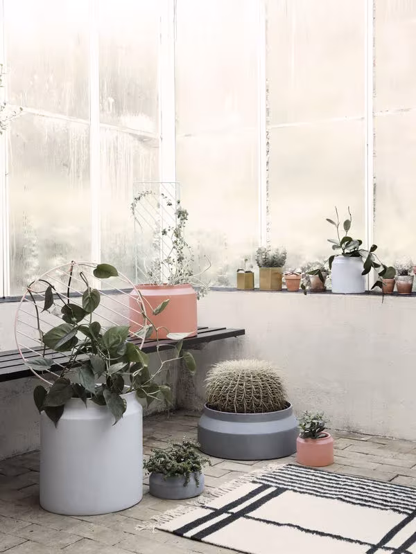 Patio interior con macetas cilíndricas de Ferm Living, cactus, plantas trepadoras y alfombra de rayas negras