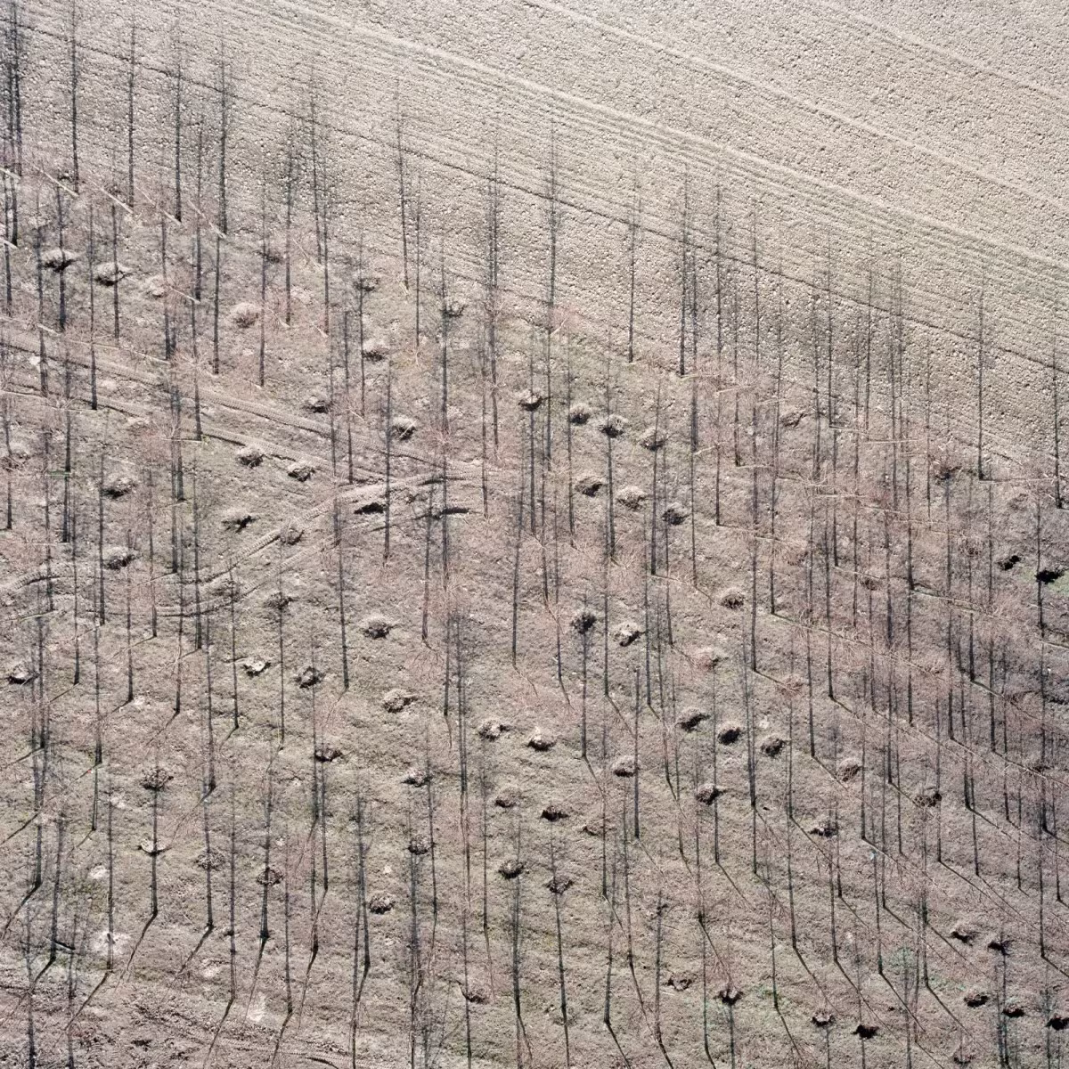 fotografía aerea del holandes gerco ruijter