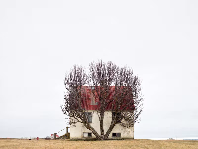 Casa blanca con tejado rojo tras un árbol desnudo en una llanura islandesa, de la serie Landnemar