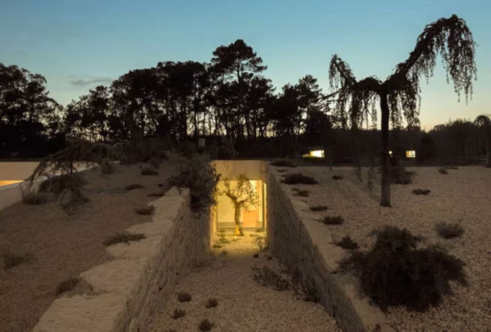 Cubierta ajardinada de la Hill Cork House al anochecer con un patio hundido iluminado y un árbol