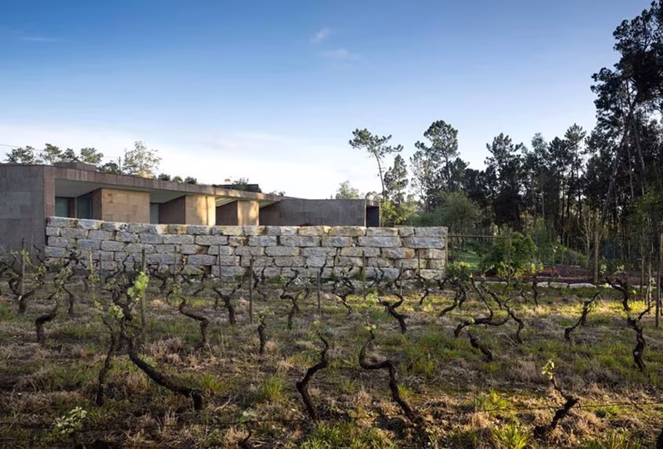 Fachada de corcho de la Hill Cork House tras un muro de piedra y un viñedo en Leiria