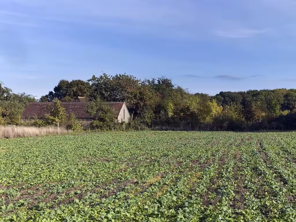 Campo de cultivo verde con el Long Sutton Studio y casas de campo entre árboles al fondo
