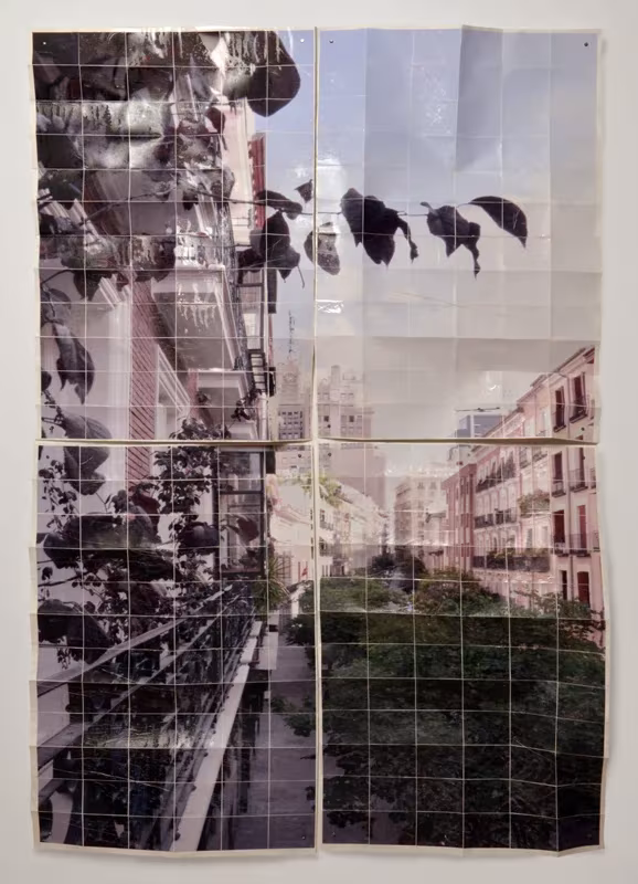 Calle con balcones y árboles en una fotografía vertical de Germán Gómez dividida en cuadrícula