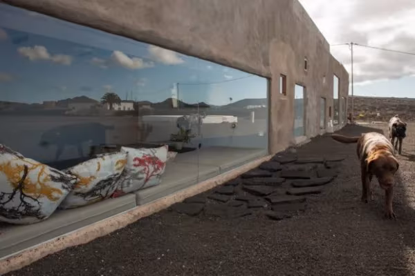 Fachada de Buenavista Suites con ventanal corrido sobre el picón negro y un perro paseando junto al muro
