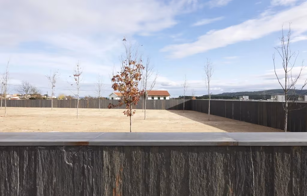 Explanada de tierra con árboles jóvenes rodeada por los muros oscuros del Espacio Miguel Torga en Sabrosa