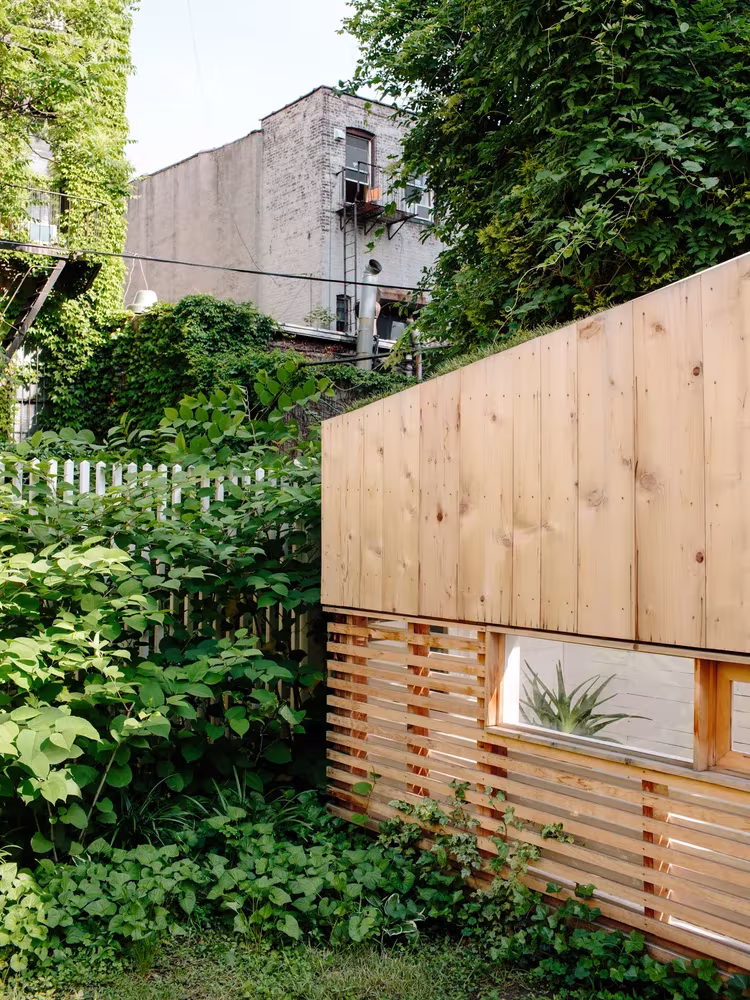 Fachada de tablas de cedro del estudio de Nicholas Hunt en un patio de Brooklyn rodeado de vegetación