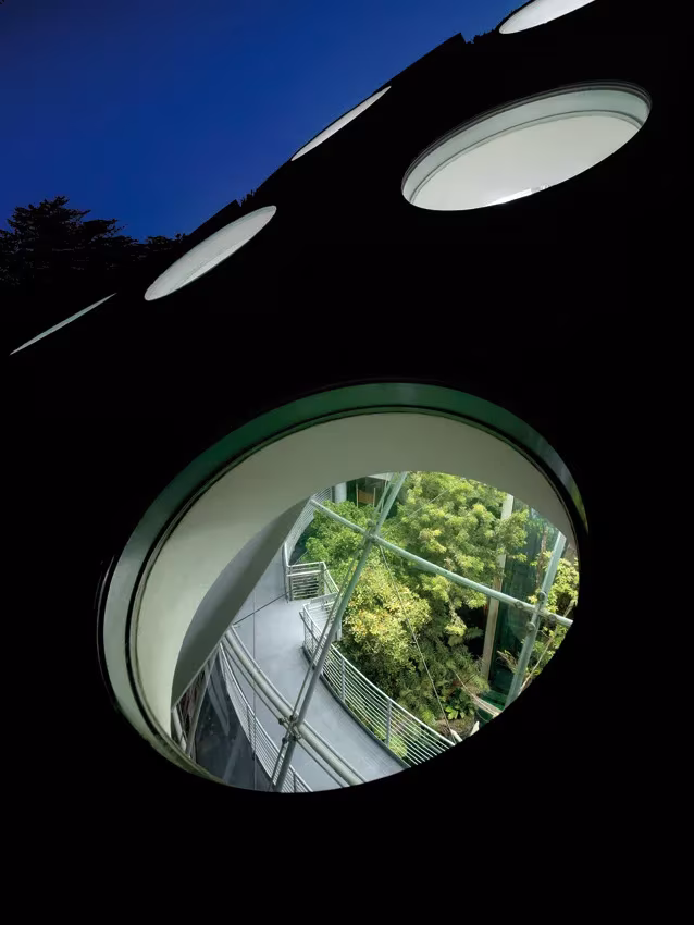 Lucernario circular abierto en la cubierta verde de la Academia de Ciencias de California visto desde abajo