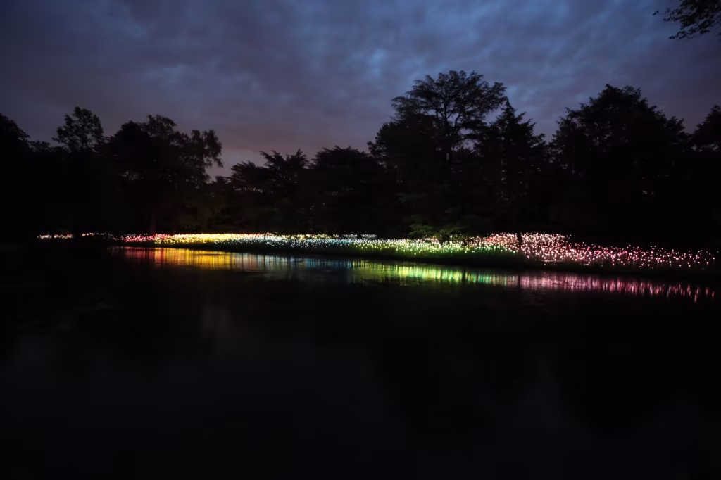 Instalacion luminica Jardin Botánico Longwood