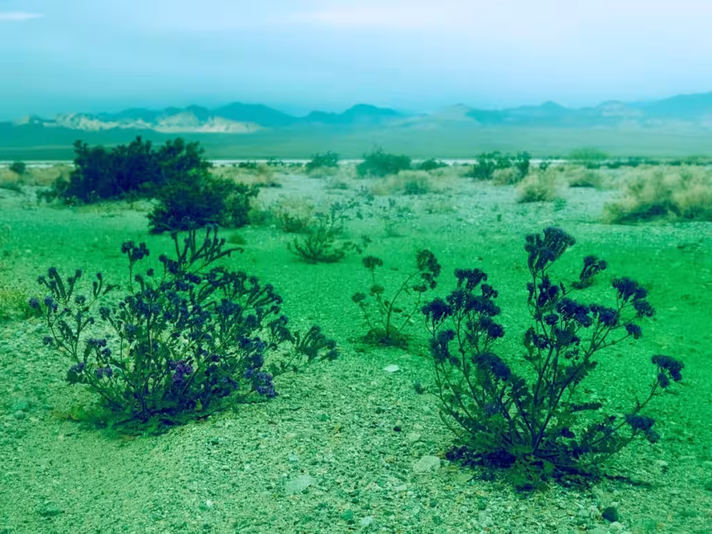 Imagen del desierto de california de Maciek Jasik