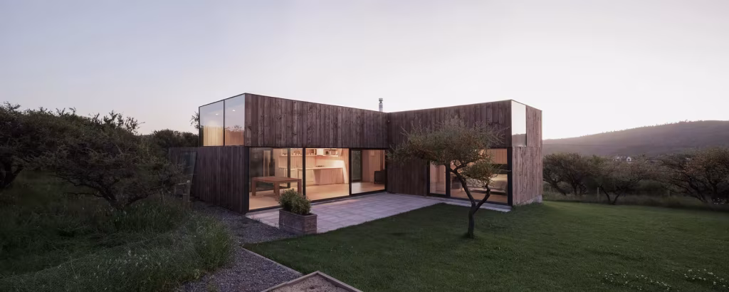 Patio interior de la Casa CML con un árbol joven y salón acristalado iluminado al atardecer