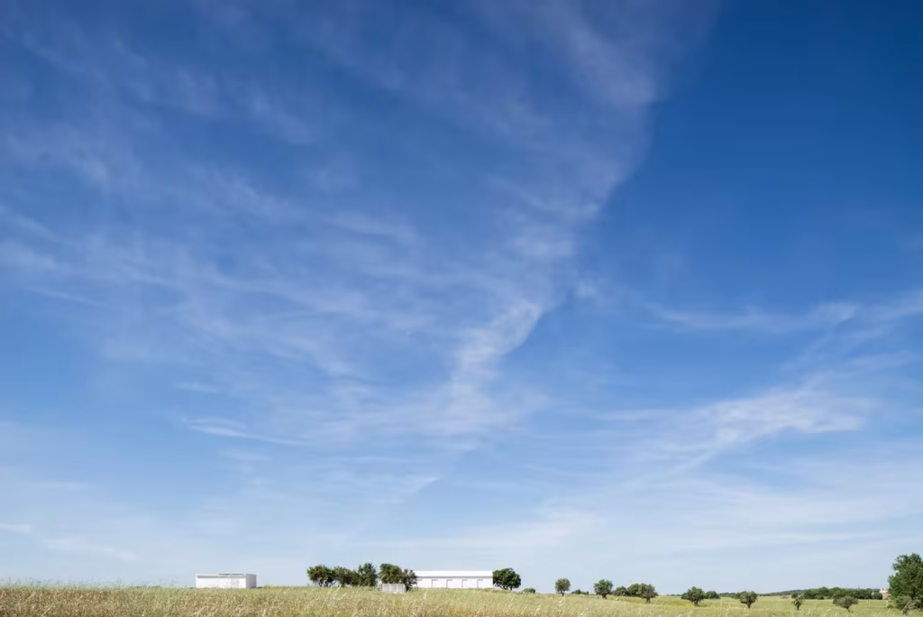 Llanura alentejana con encinas dispersas y las construcciones blancas de Monte da Azarujinha a lo lejos
