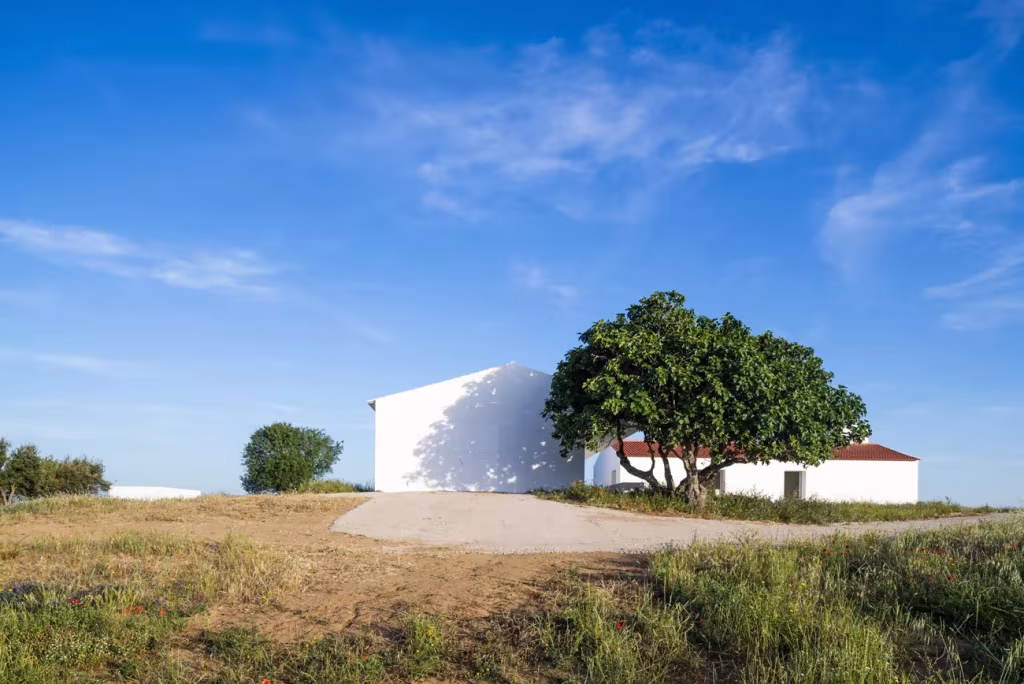 Muro blanco curvo y algarrobo junto a la granja de Monte da Azarujinha en el Alentejo