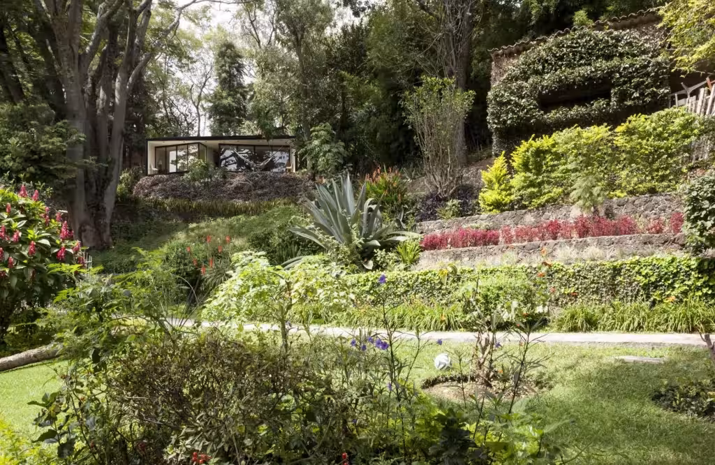 Jardín escalonado con agaves y césped que asciende hacia el Bungalow LMM en Tepoztlán