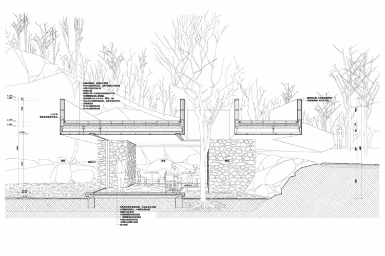 Sección constructiva de la Rockview Teahouse sobre la cantera, con árboles atravesando la cubierta