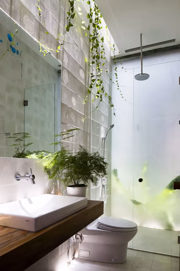 Thong house. Luz baño Baño de la Thong House con lavabo sobre encimera de madera, ducha de vidrio y plantas colgantes