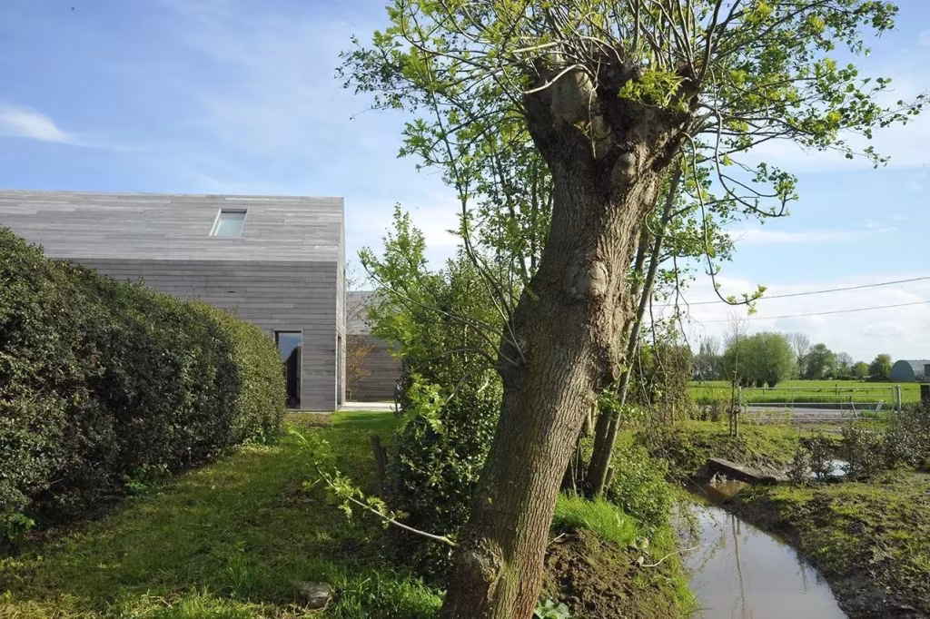 Casa DC II tras un sauce y un canal junto al seto, en el paisaje agrícola
