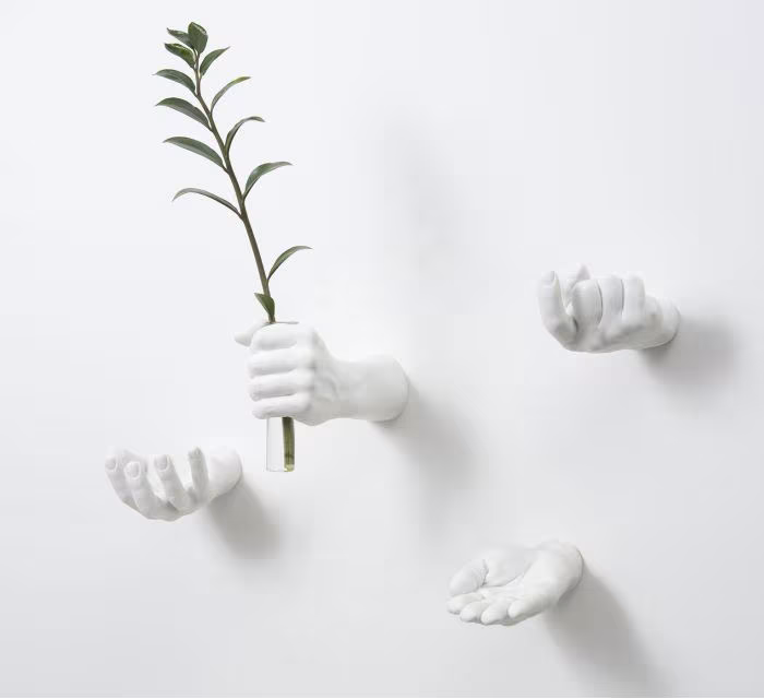 Hand Hook Offer