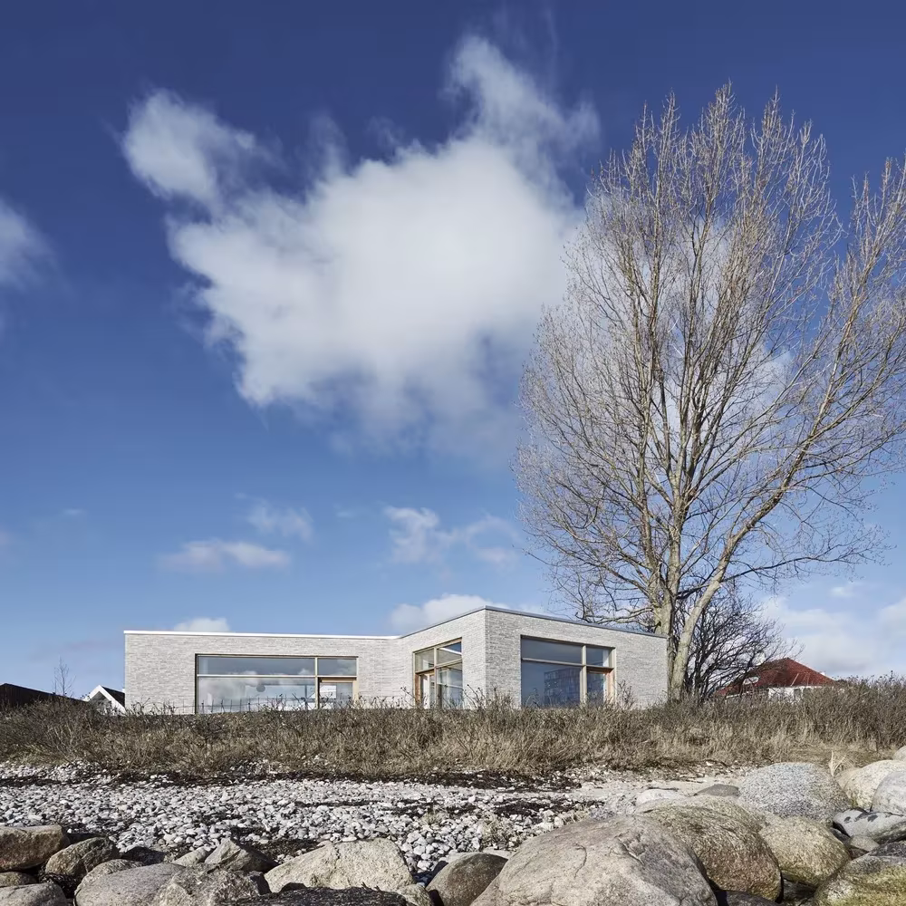 Villa Platan de ADEPT entre piedras y hierba de playa, con un gran árbol desnudo ante el mar danés