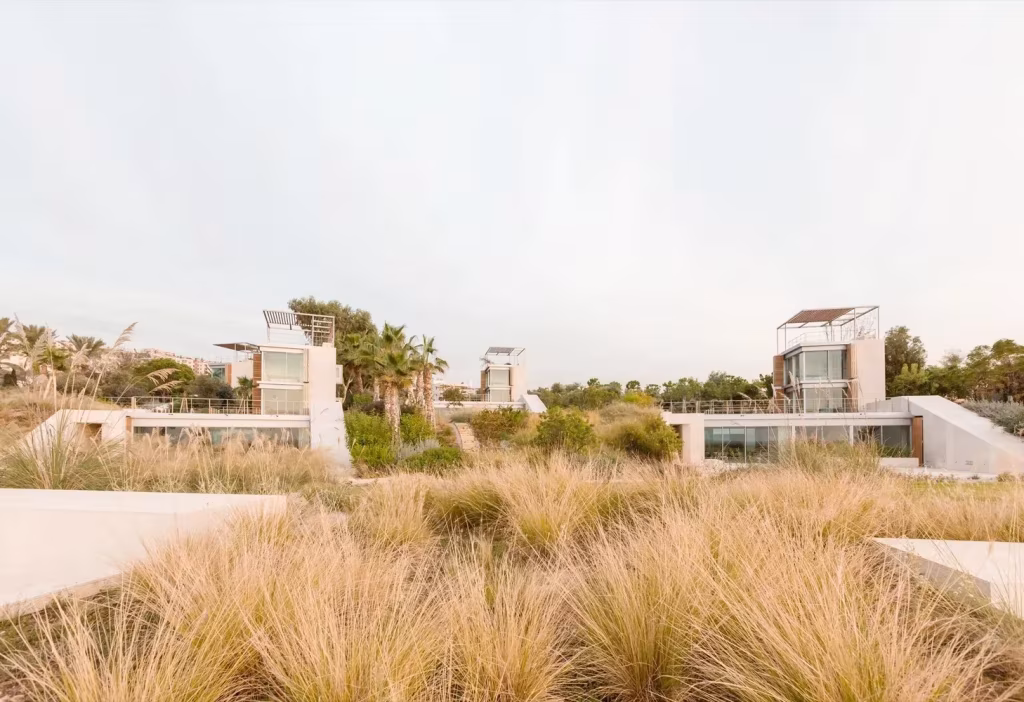Panorámica de las viviendas de The Courtowers semienterradas entre gramíneas y palmeras
