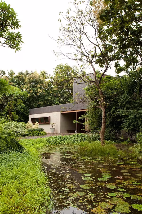Vivienda de Studio Mumbai tras un estanque con nenúfares y vegetación densa