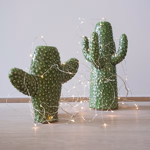 Jarrones cactus juveniles en tonos verdes