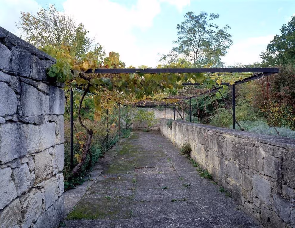 Paseo de losas bajo una pérgola cubierta de vid entre muros de caliza en la casa de Roland Rainer