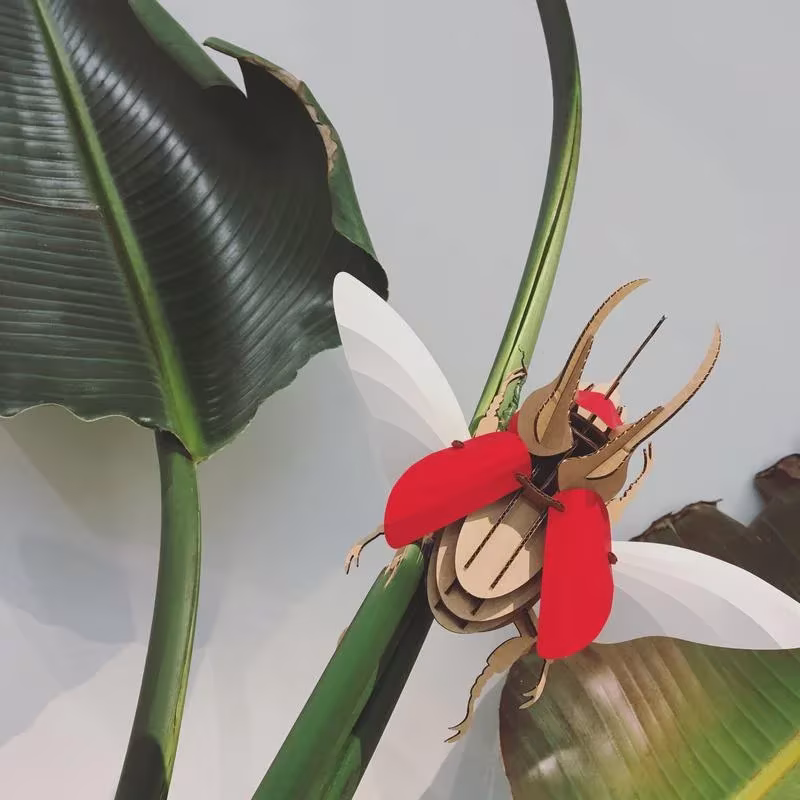 Escarabajo Atlas de cartón de Assembli con élitros rojos posado en el tallo de una planta de hojas grandes