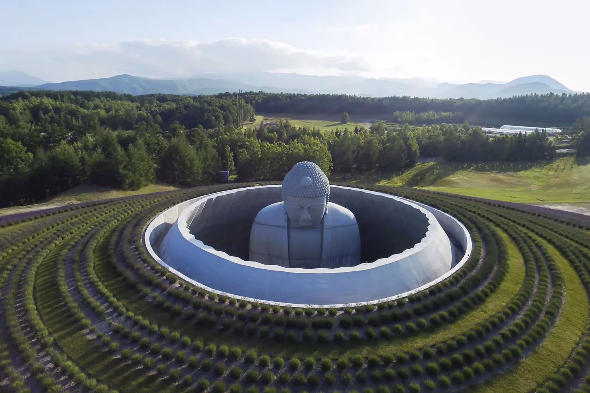 Vista aérea del Buda de Tadao Ando rodeado por un anillo de hormigón y círculos de lavanda en Sapporo