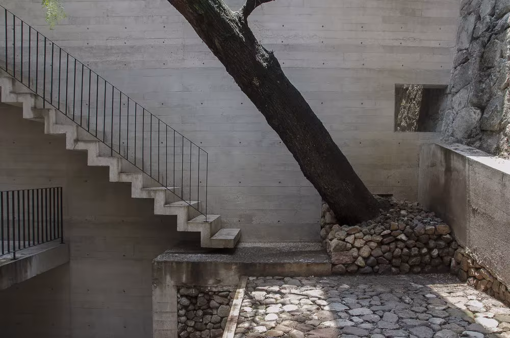Tronco de árbol que atraviesa el patio de piedra junto a la escalera de hormigón visto en la Casa BC