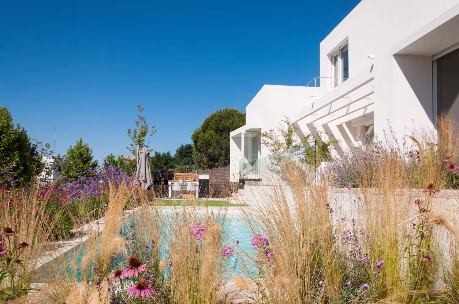 Piscina rodeada de gramíneas y flores junto a una casa blanca de volúmenes escalonados, paisajismo de ÁBATON