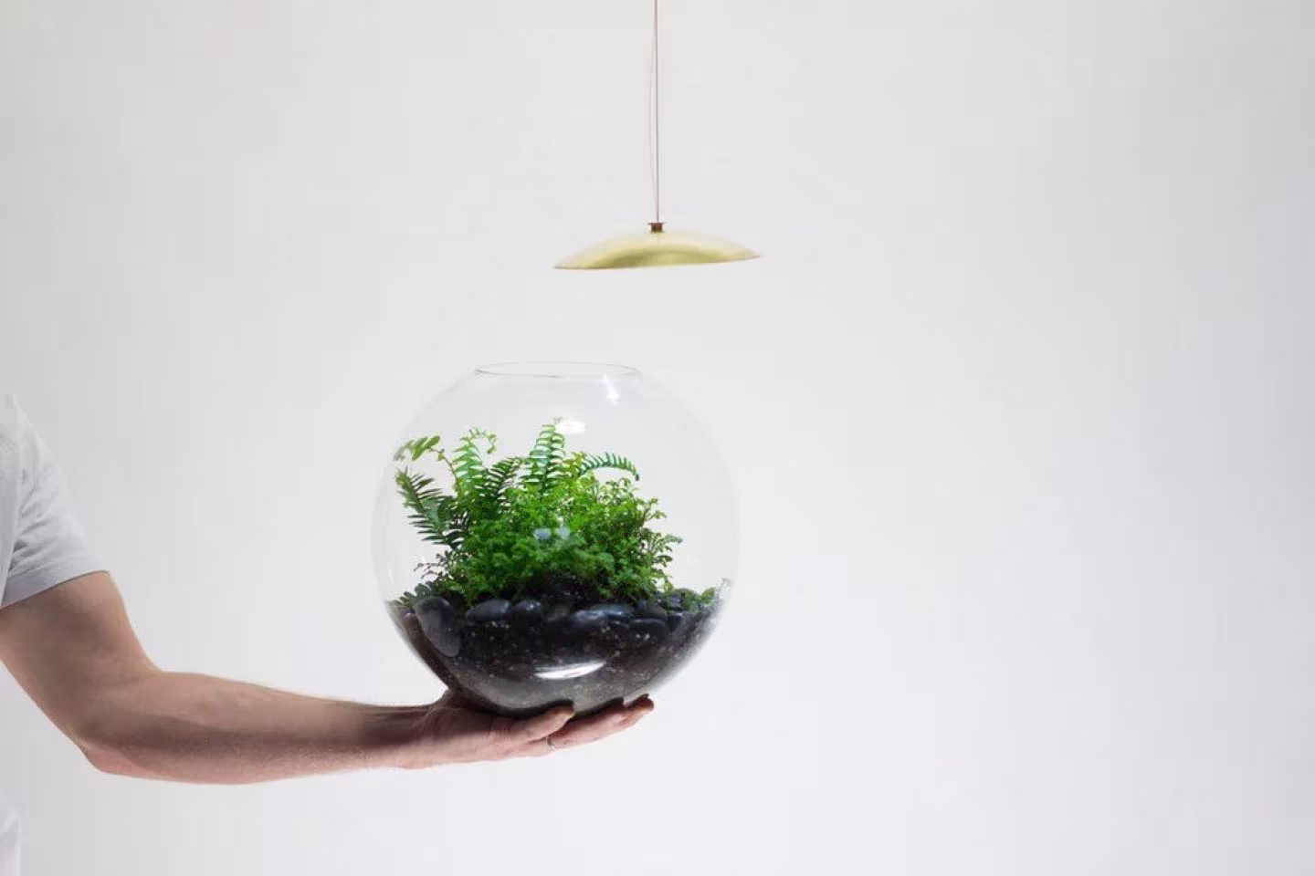 como desmontar globe, la lampara terrario