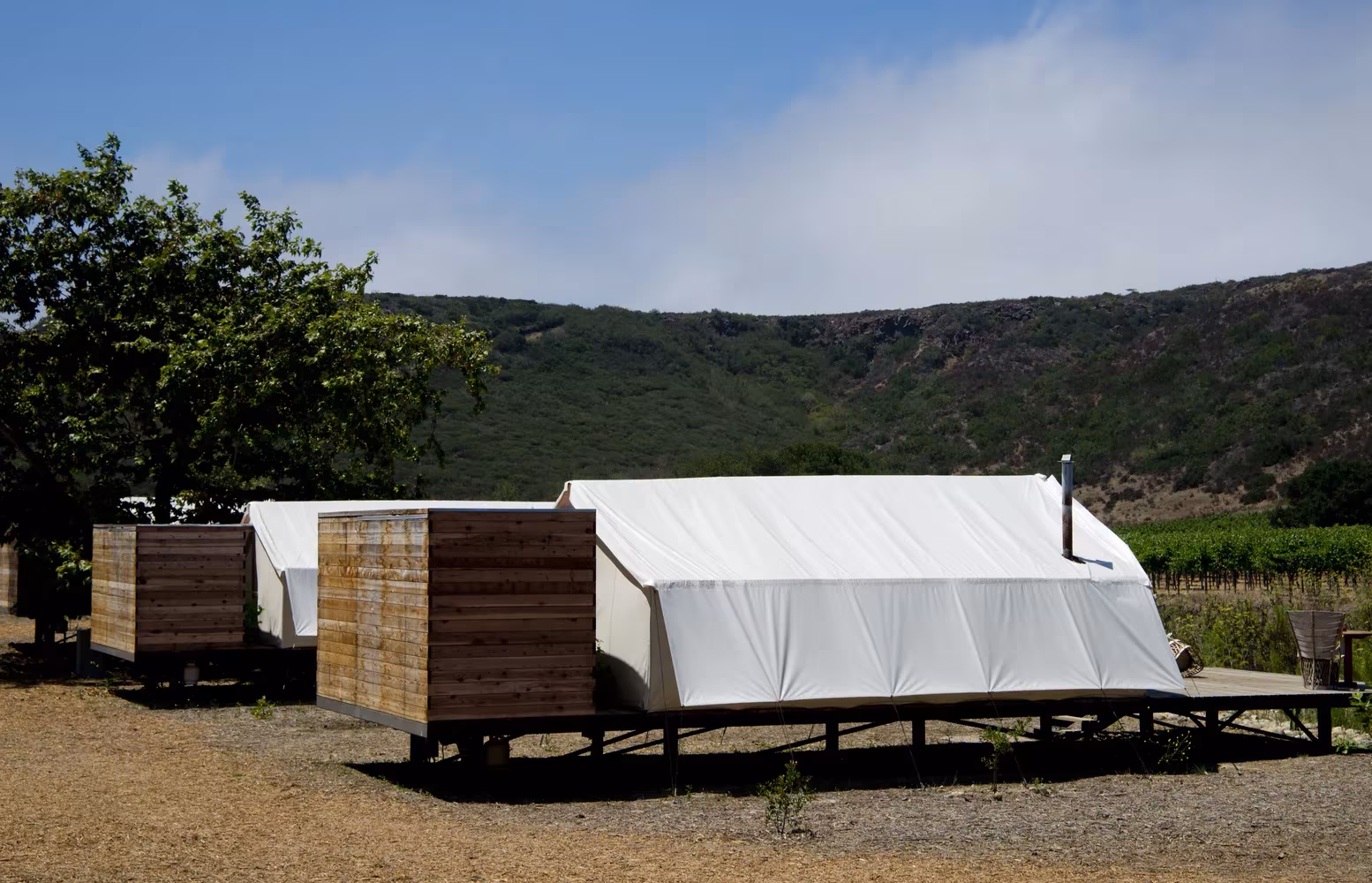 Cabañas de lona blanca sobre plataformas de madera entre viñedos y colinas en Cuatro Cuatros, Ensenada