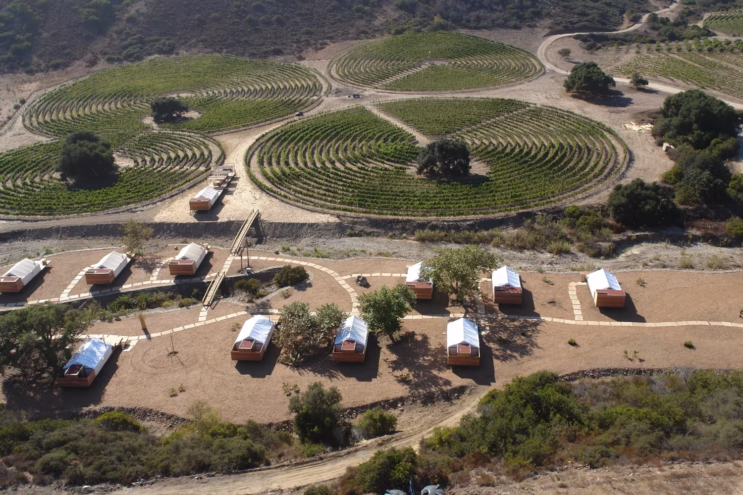 Vista aérea de los viñedos circulares y las cabañas de Cuatro Cuatros de Gabriela Carrillo y Mauricio Rocha en Ensenada