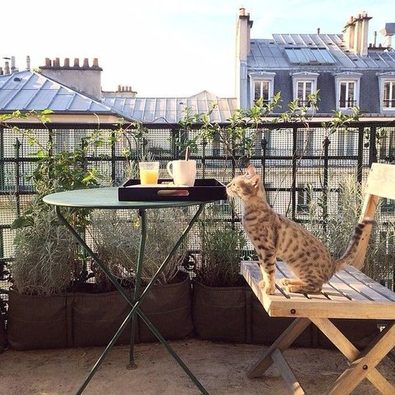 maceteros bacsac en balcon con vistas