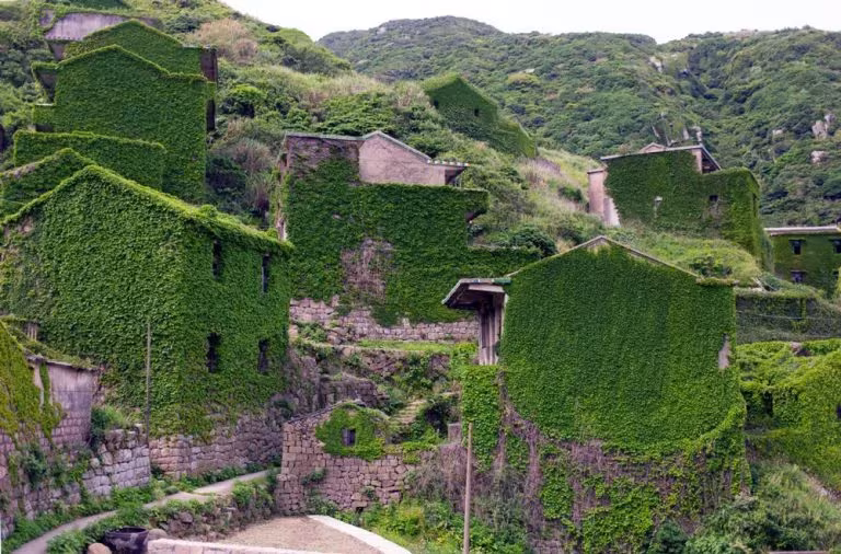Casas de Houtouwan cubiertas de vegetación en la ladera, aldea abandonada de las islas Shengsi, China