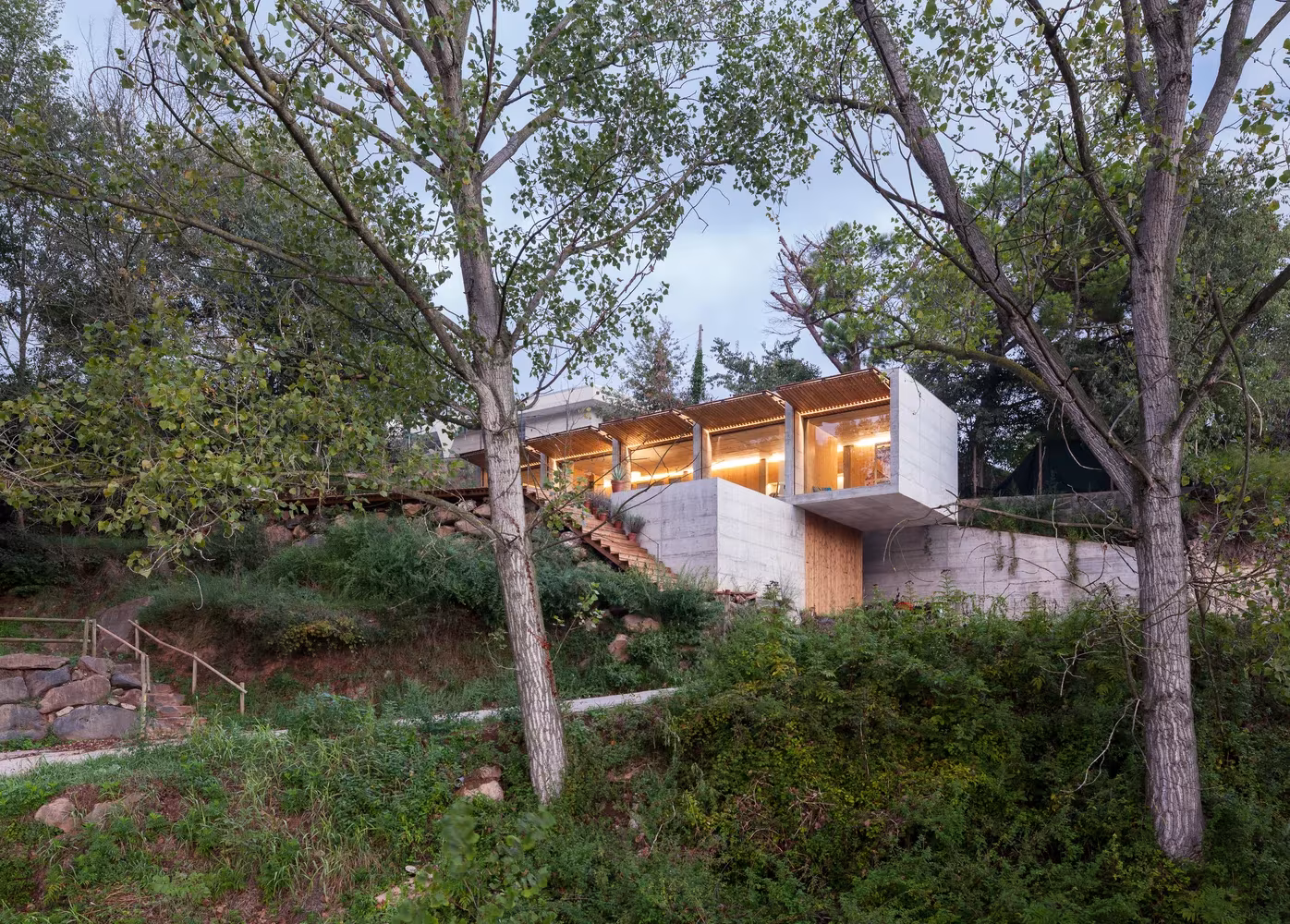 Casa Retina de Arnau asomando entre los árboles de la ladera en Santa Pau, con hormigón y ventanales iluminados