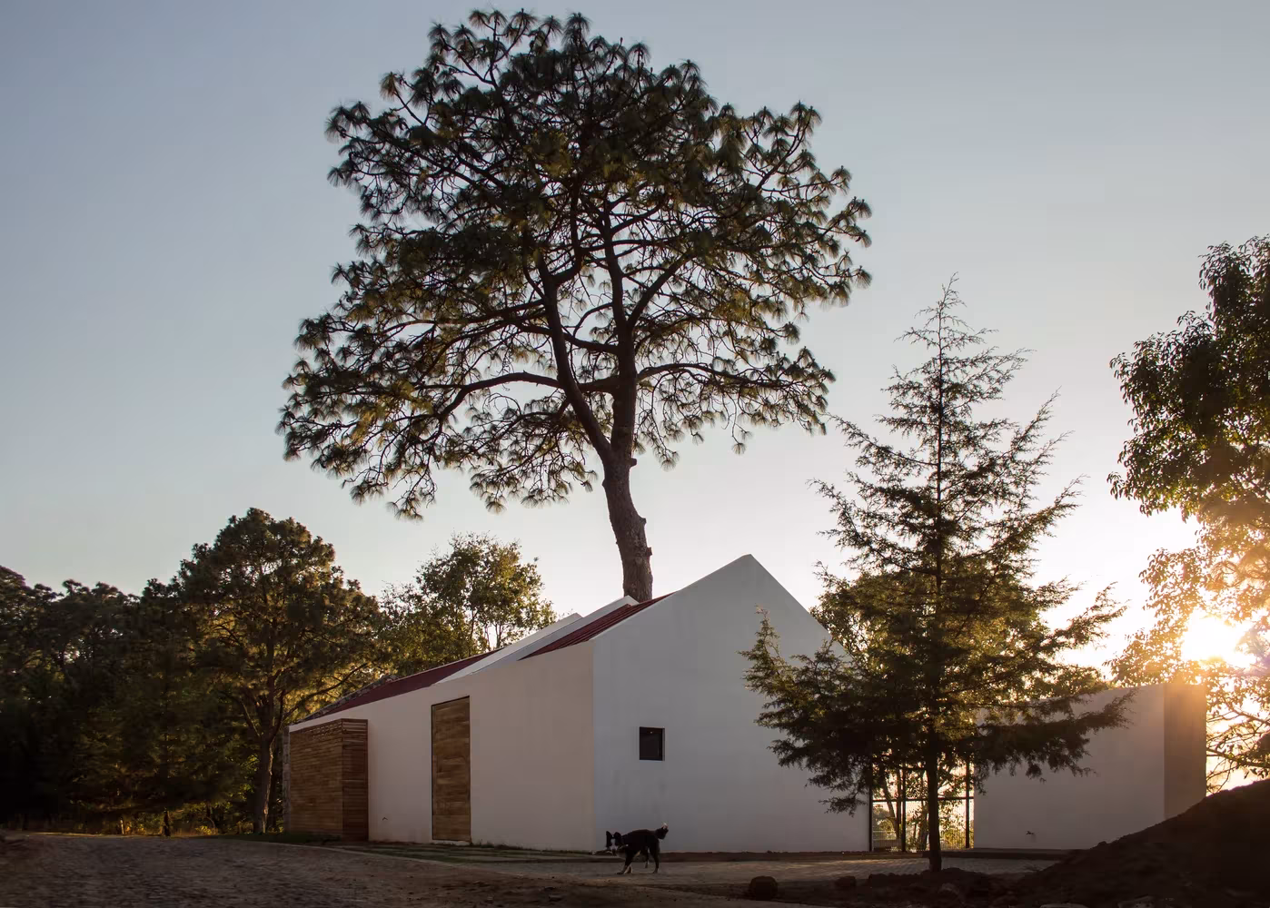 Casa de Espacio EMA de volúmenes blancos y cubiertas a dos aguas bajo un pino al atardecer en Mazamitla, Jalisco