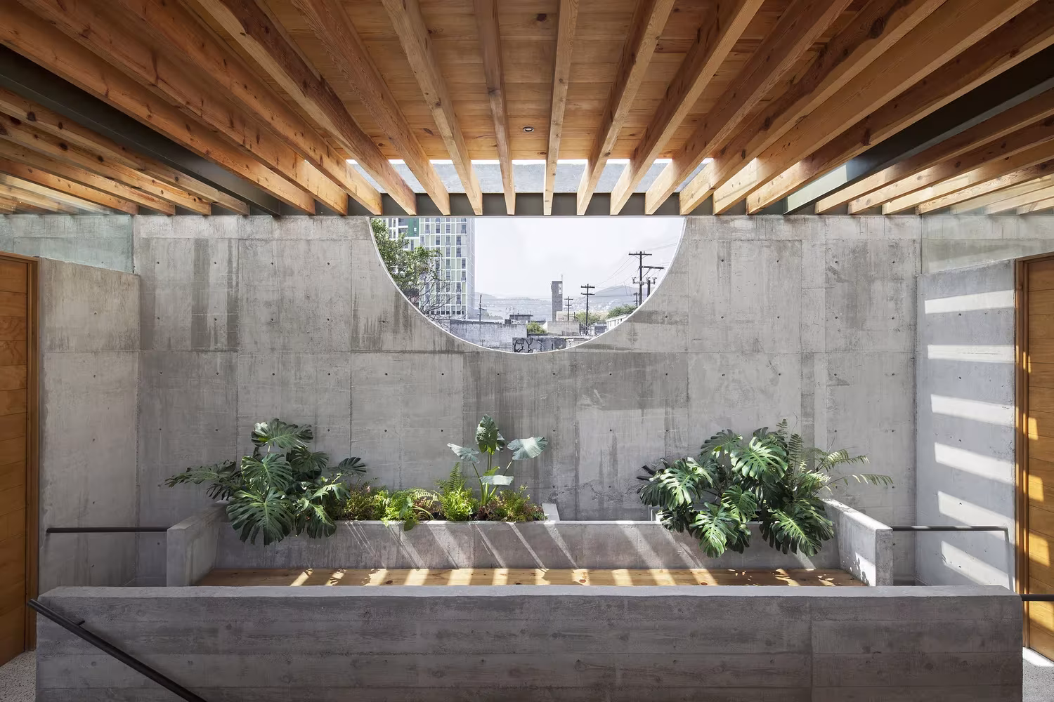 Patio de hormigón visto con jardinera de plantas tropicales y óculo circular bajo vigas de madera en 15 de Mayo