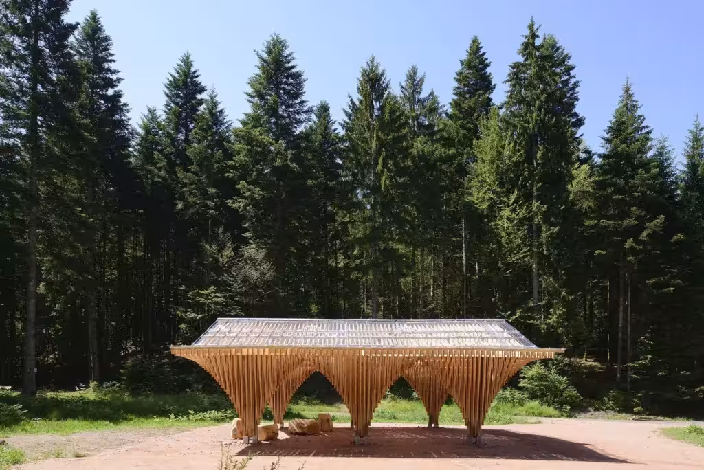 Arquerías de pino como elegante homenaje al bosque de Bertrichamps