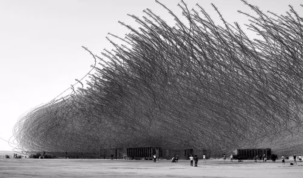 Estelas de miles de aves en blanco y negro sobre un paisaje llano, fotografía de Xavi Bou